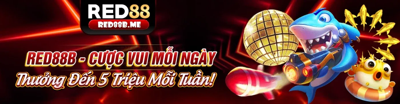 Tổng quan về các quy định GDPR và khung tuân thủ tại e888 link mới